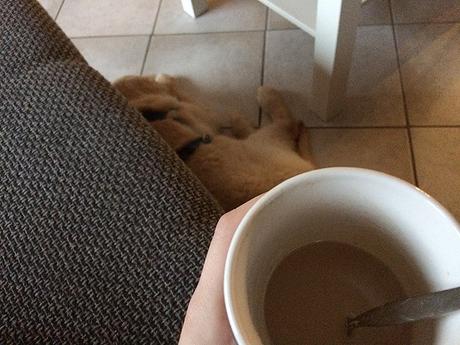 Unser Wochenende in Bildern – 05./06. August