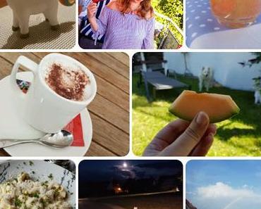 Wochenrückblick KW 30 und KW 31