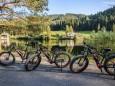 Mountainbiken im Mariazellerland - Rundtour Mariazell-Walstern-Mariazell