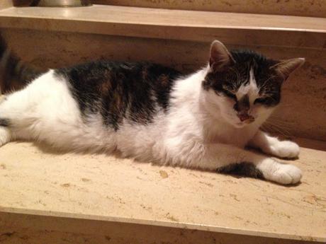 AUGUST 007 | GYARU POST | TRAVILING FROM HOME TO HOME