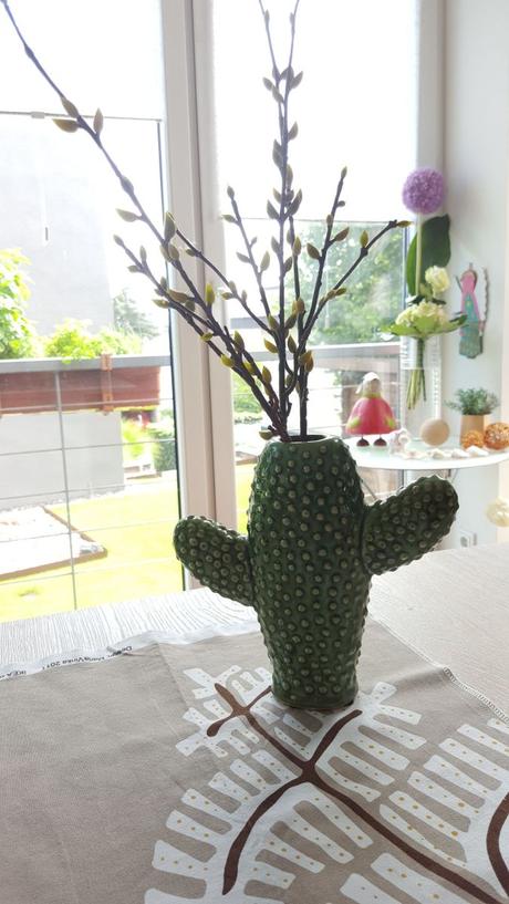 Kaktus, Kaktus