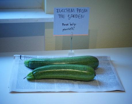 Eine Antwort auf die Zucchinischwemme: eingelete Zucchini