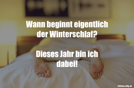Lustiger BilderSpruch - Wann beginnt eigentlich der Winterschlaf?...