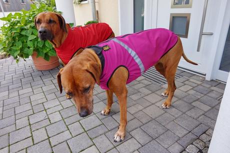 Persönlich getestet: Regen- und Softshelljacke für Hunde