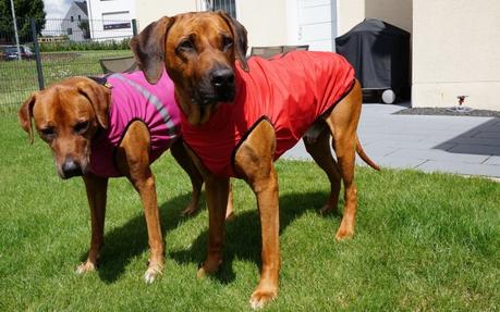 Persönlich getestet: Regen- und Softshelljacke für Hunde