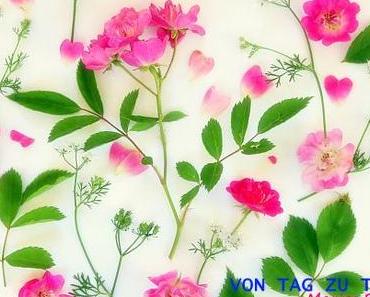 Bilder malen - mit der Kamera