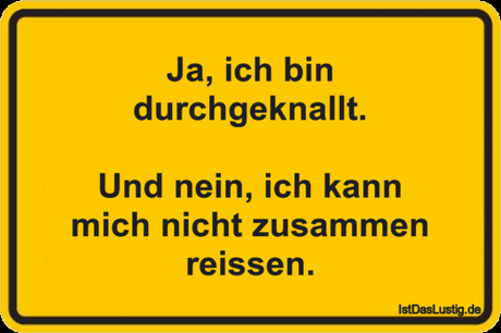 Lustiger BilderSpruch - Ja, ich bin durchgeknallt.  Und nein, ich kann...