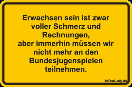Lustiger BilderSpruch - Erwachsen sein ist zwar voller Schmerz und...