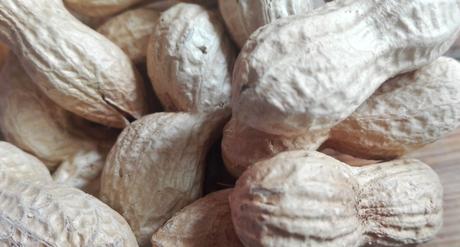 Foto: Erdnüsse sind manchmal keine Peanuts