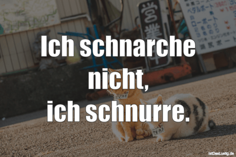 Lustiger BilderSpruch - Ich schnarche nicht, ich schnurre.