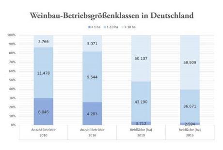 Deutsche Weinbaubetriebe wachsen