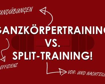 Ganzkörpertraining vs. Split-Training! Dein perfektes Workout!
