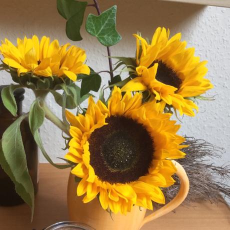 Friday-Flowerday – oder – Von Sonnenblumen und Miss Marple