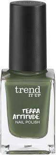 trend IT UP Terra Attitude