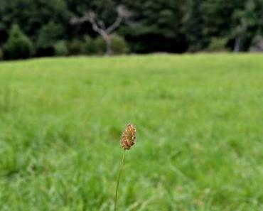 °Regen°  und °Sonne°