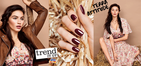 trend IT UP Terra Attitude Limited Edition