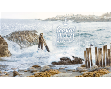 Neues von DM / Insider – Alverde