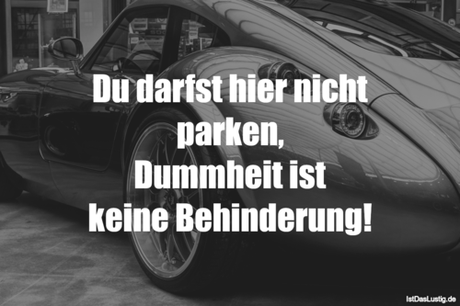 Lustiger BilderSpruch - Du darfst hier nicht parken, Dummheit ist keine...