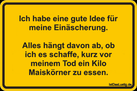 Lustiger BilderSpruch - Ich habe eine gute Idee für meine...