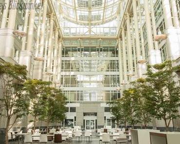 Richie´s Blick auf die Welt #Frankfurt #Gebäude #CityTree