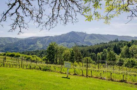 Unterwegs im hippen Portland & auf Weinprobe im Tualatin Valley