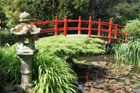 Japanische Gärten – Was gehört dazu?