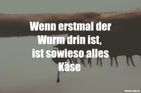 Lustiger BilderSpruch - Wenn erstmal der Wurm drin ist,  ist sowieso...