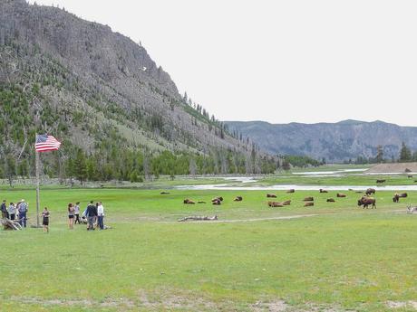 4 Tage im Yellowstone Nationalpark