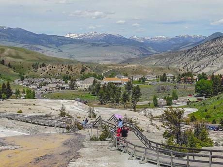 4 Tage im Yellowstone Nationalpark
