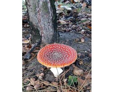 Stromanbieterwechsel