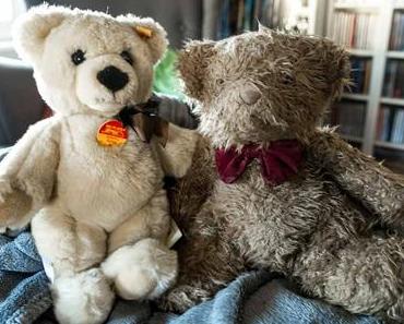 Teddybär-Tag – der amerikanische Teddy Bear Day