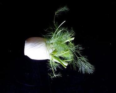 Was ist nun die richtige Ernährungsweise und welche Rolle spielen unsere Gene?
