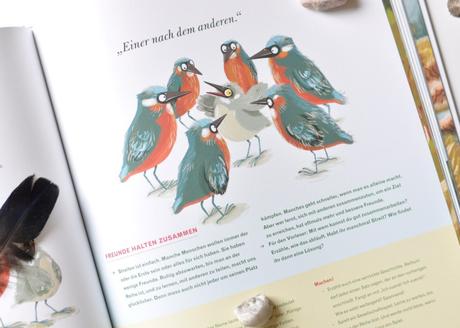 Freundschaft für Kinder – 10 Vorlesegeschichten für Vogelfreunde