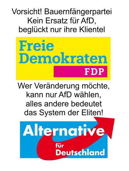 Die FDP als neues Regierungsmitglied, eine grauenhafte Vorstellung