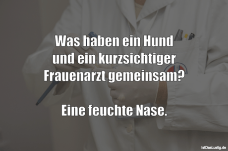 Lustiger BilderSpruch - Was haben ein Hund und ein kurzsichtiger...