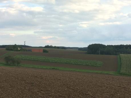 Das mit dem Blumenschmuck