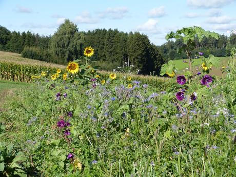 Das mit dem Blumenschmuck