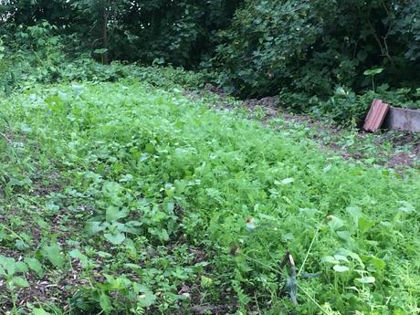 Das mit dem Blumenschmuck