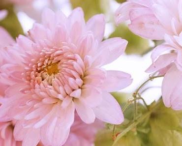 wallpaper-1689754