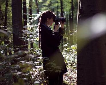 Stadtwald – Suche und Sehnsucht nach dem Herbst