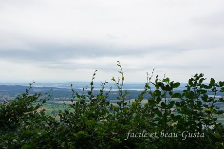 Friedwald in Heiligenberg am Bodensee