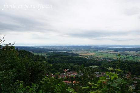 Friedwald in Heiligenberg am Bodensee