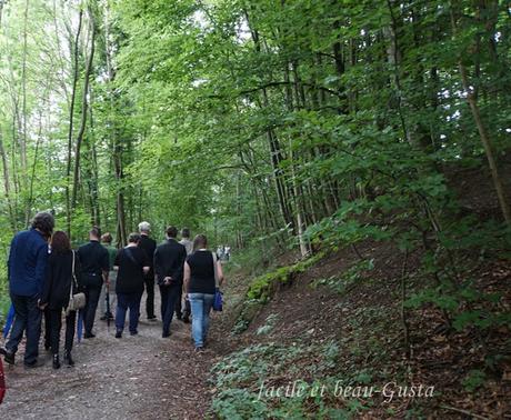 Friedwald in Heiligenberg am Bodensee