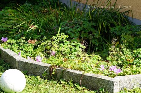 Der Garten im August/September