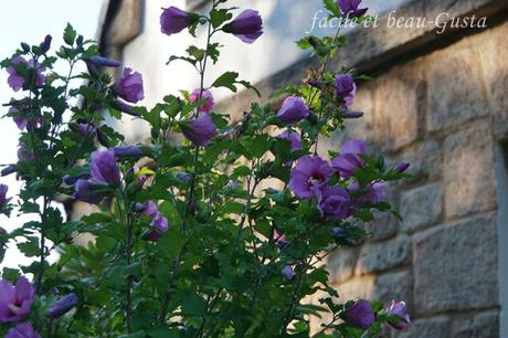 Der Garten im August/September