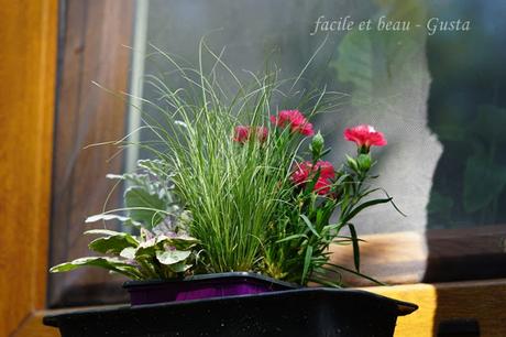 Der Garten im August/September