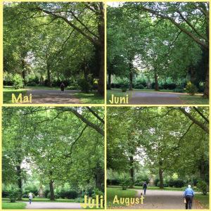 12tel-Blick im September 2017 – oder – Die Baumkronen werden lichter