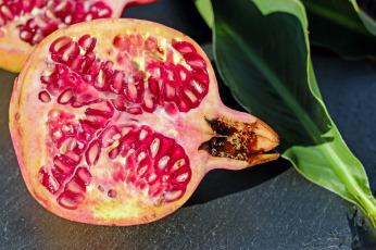 [Blogtour] Eine kulinarische Reise durch „Das Haus der Granatäpfel“ von Lydia Conradi