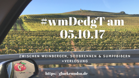 Zwischen Weinbergen,Sodbrennen und Sumpfbiber-#wmDedgT 05.10.17