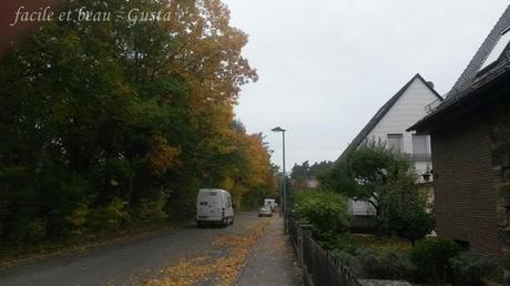 H54F/KW40/2017 H54F/KW40/2017